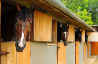 free Kennels Cotts stable construction quotes